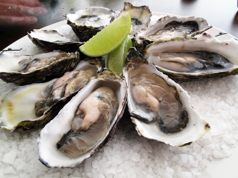 Sample oyster photo — replace with a real photo of JJ's oysters